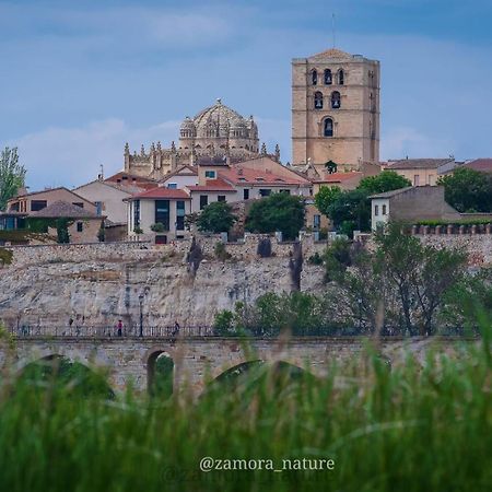 A Los Ojos Del Rio Duero Apartment Zamora Ngoại thất bức ảnh