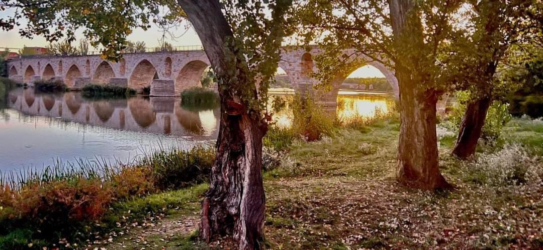 A Los Ojos Del Rio Duero Zamora Ngoại thất bức ảnh